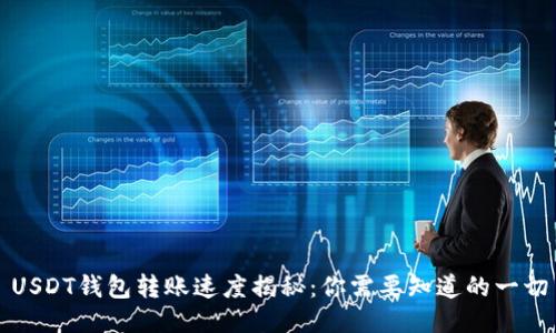 USDT钱包转账速度揭秘：你需要知道的一切
