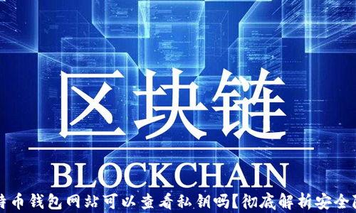 
比特币钱包网站可以查看私钥吗？彻底解析安全隐患