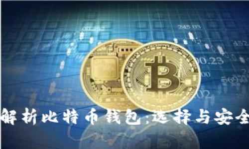 全面解析比特币钱包：选择与安全指南