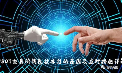 USDT交易所钱包被冻结的原因及应对措施详解
