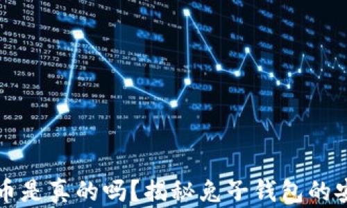 兔子钱包比特币是真的吗?揭秘兔子钱包的安全性与信任度