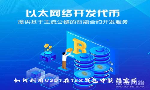 如何利用USDT在TRX钱包中获得宽带