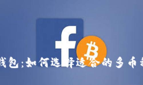 虚拟货币钱包：如何选择适合的多币种存储方案