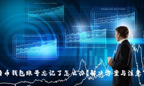 比特币钱包账号忘记了怎么办？解决方案与注意事项