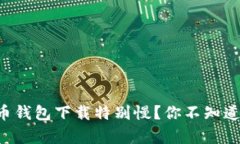 为什么比特币钱包下载特