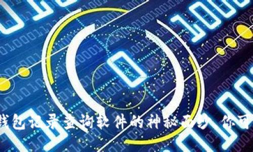 揭开区块链钱包记录查询软件的神秘面纱，你可以找到什么？