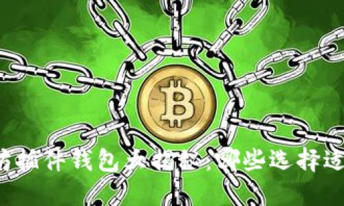 以太坊插件钱包大揭秘：哪些选择适合你？