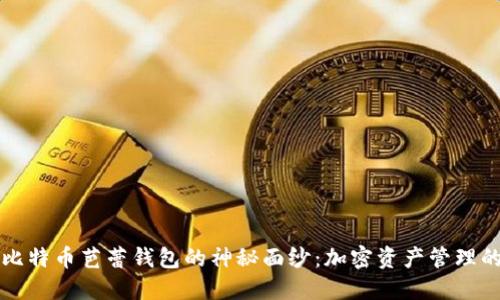 揭开比特币芭蕾钱包的神秘面纱：加密资产管理的艺术