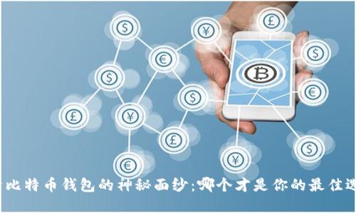 揭开比特币钱包的神秘面纱：哪个才是你的最佳选择？