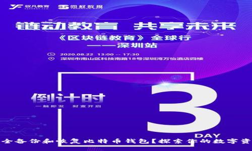 如何安全备份和恢复比特币钱包？探索你的数字资产之旅