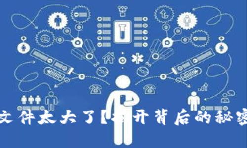 比特币钱包文件太大了？揭开背后的秘密与解决方案