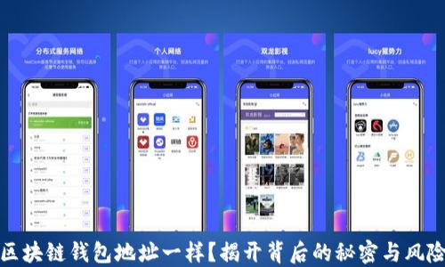 
区块链钱包地址一样？揭开背后的秘密与风险