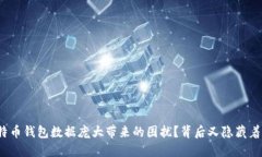 如何解决比特币钱包数据