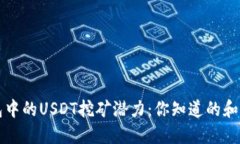 解锁波场钱包中的USDT挖矿