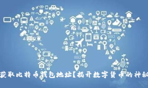 如何获取比特币钱包地址？揭开数字货币的神秘面纱