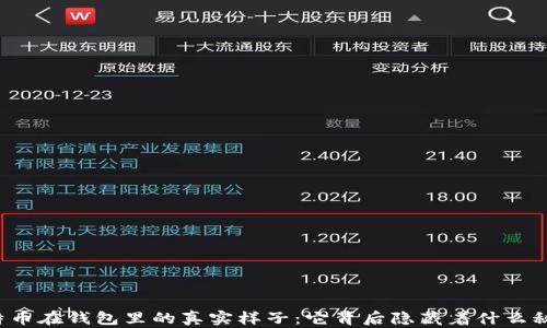 
比特币在钱包里的真实样子：它背后隐藏着什么秘密？