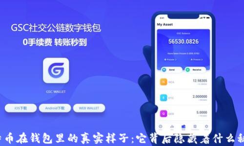 
比特币在钱包里的真实样子：它背后隐藏着什么秘密？