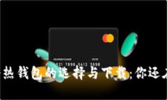 区块链冷热钱包的选择与