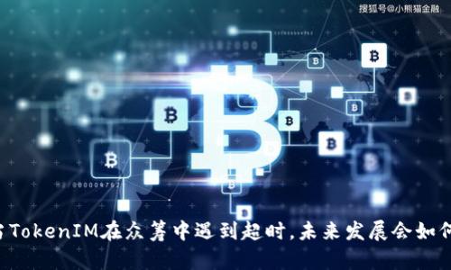 当TokenIM在众筹中遇到超时，未来发展会如何？