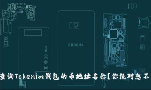 如何快速查询Tokenim钱包的币地址名称？你绝对想不到的方法！