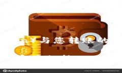 在TP钱包中查找USDT的充值