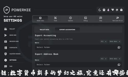 
闪酷钱包区块链：数字货币新手的梦幻之旅，究竟还有哪些秘密等待揭晓？