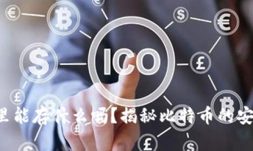 你知道钱包里能存什么吗？揭秘比特币的安全保存之道！