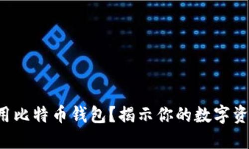 如何安全使用比特币钱包？揭示你的数字资产保护秘籍！