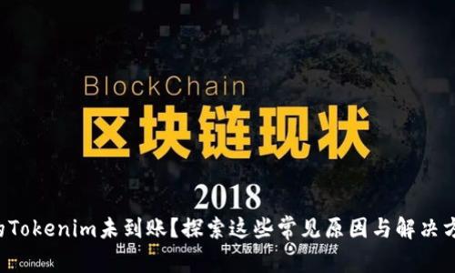 你的Tokenim未到账？探索这些常见原因与解决方案！
