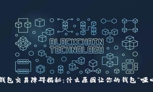 比特币钱包交易障碍揭秘：什么原因让你的钱包“哑口无言”？