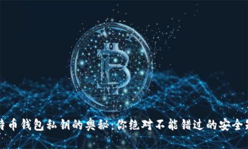 比特币钱包私钥的奥秘：你绝对不能错过的安全知识