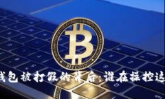 区块链钱包被打假的背后