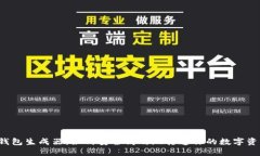 虚拟币钱包生成器：如何
