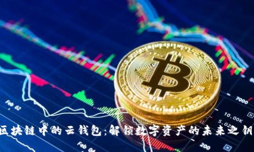 区块链中的云钱包：解锁数字资产的未来之钥？