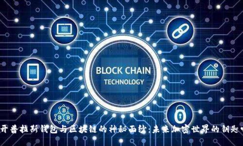 揭开普拉斯钱包与区块链的神秘面纱：未来加密世界的钥匙吗？