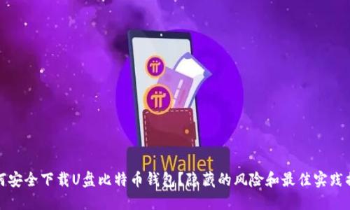 如何安全下载U盘比特币钱包？隐藏的风险和最佳实践揭晓