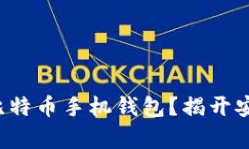 如何轻松下载比特币手机钱包？揭开安卓用户的秘密！