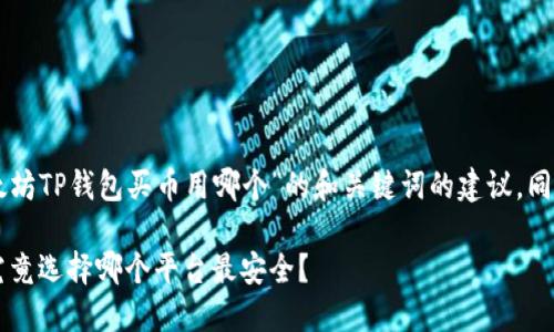 以下是一个针对“以太坊TP钱包买币用哪个”的和关键词的建议，同时提供内容主体大纲：

以太坊TP钱包买币，究竟选择哪个平台最安全？