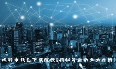 比特币钱包下载缓慢？揭
