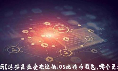 
你知道吗？这些是最受欢迎的iOS比特币钱包，哪个更适合你？