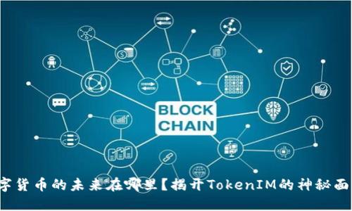 数字货币的未来在哪里？揭开TokenIM的神秘面纱！