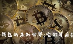 探索虚拟币匿名钱包的未