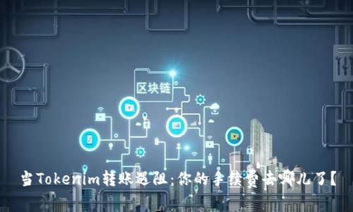 当Tokenim转账遇阻：你的手续费去哪儿了？