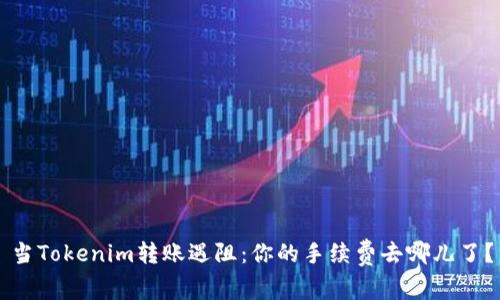 当Tokenim转账遇阻：你的手续费去哪儿了？