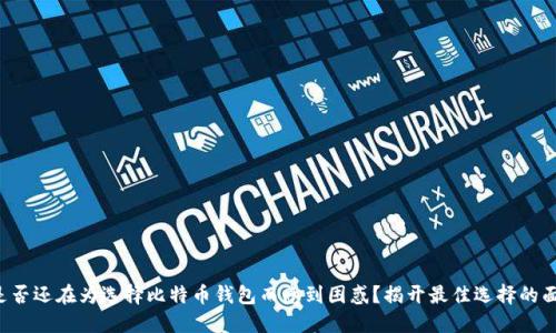 你是否还在为选择比特币钱包而感到困惑？揭开最佳选择的面纱！