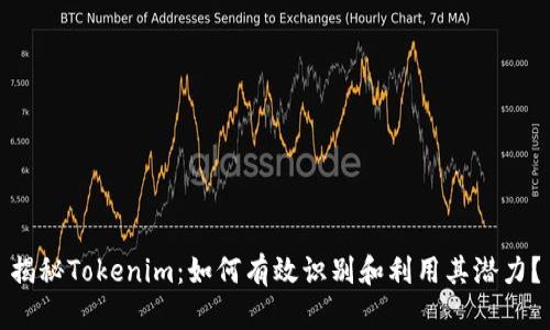 揭秘Tokenim：如何有效识别和利用其潜力？