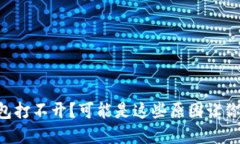 虚拟币钱包打不开？可能