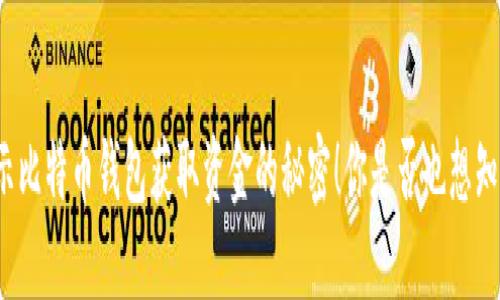 揭示比特币钱包获取资金的秘密！你是否也想知道？