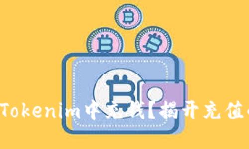 如何轻松在Tokenim中充钱？揭开充值的神秘面纱！