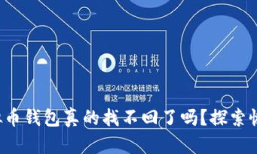你丢失的虚拟币钱包真的找不回了吗？探索恢复的可能性！